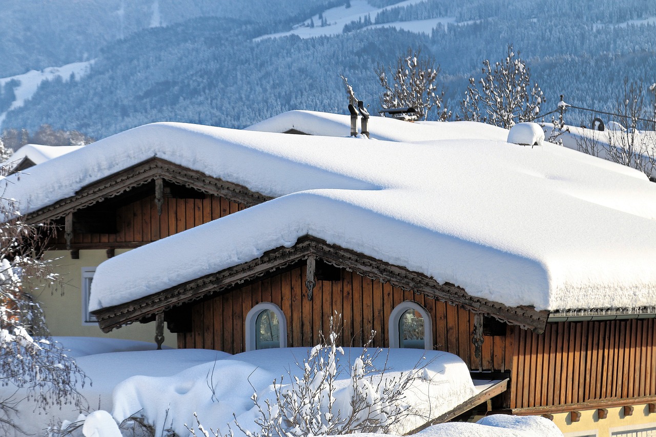 snowy roofs