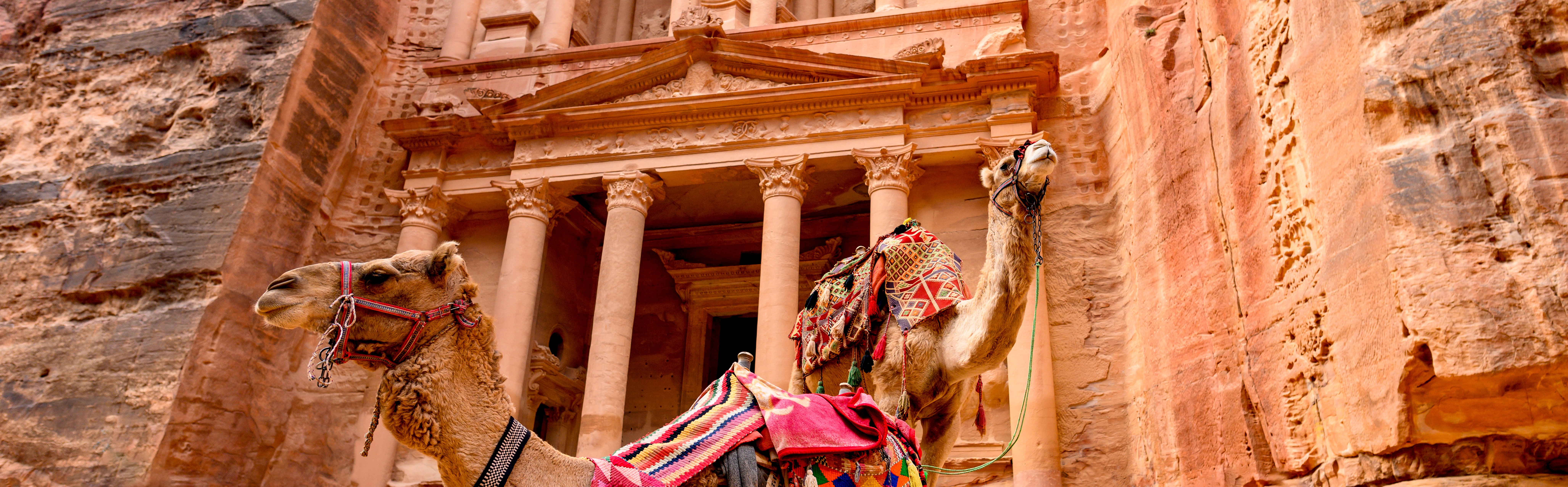 Camels in front of the Treasury at Petra