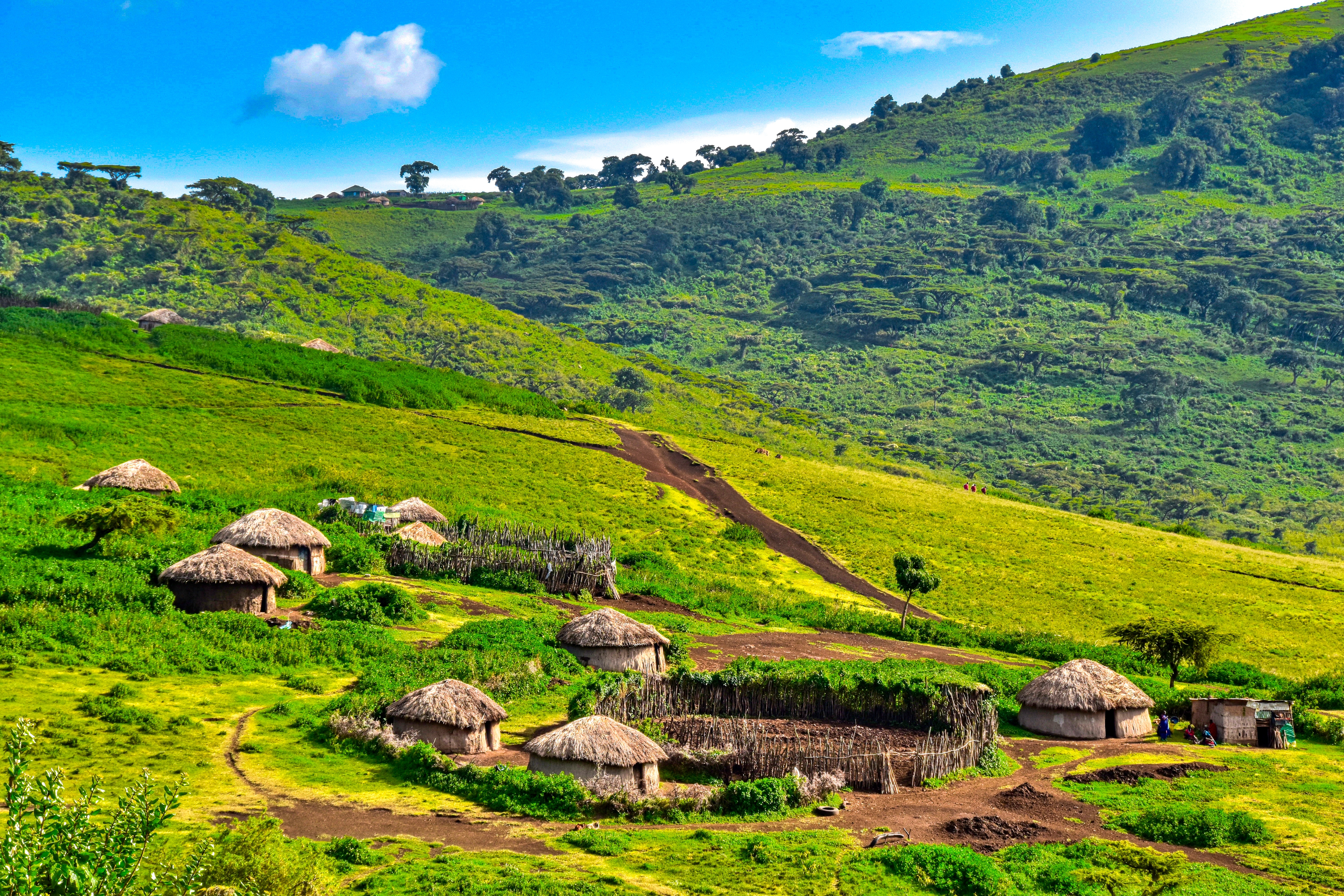 panoramic view of a Masai village on a hill in the Ngrongoro Conservation Area
