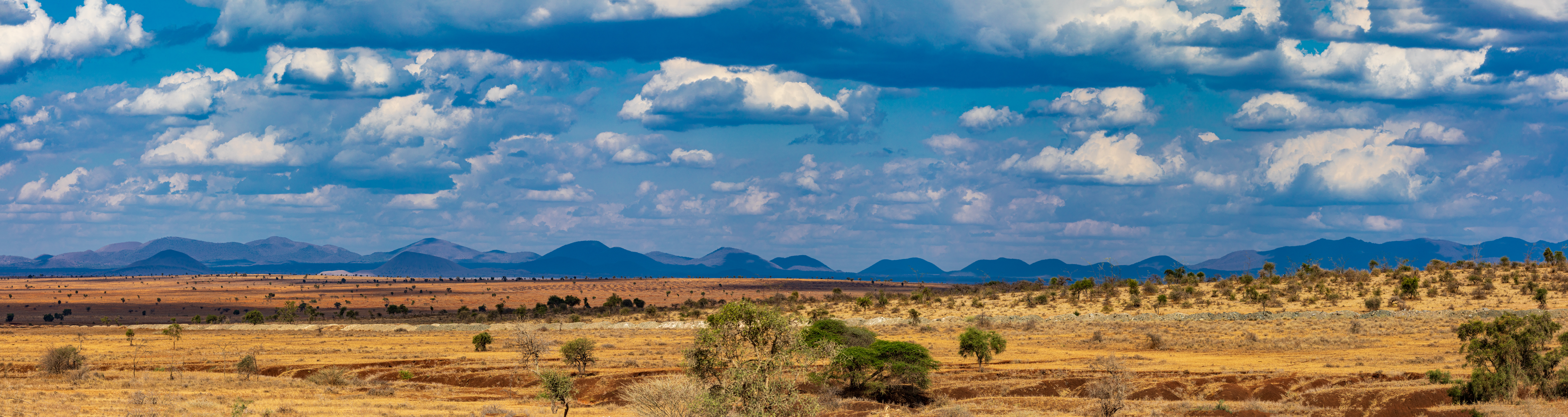 panoramic view of the rift valley