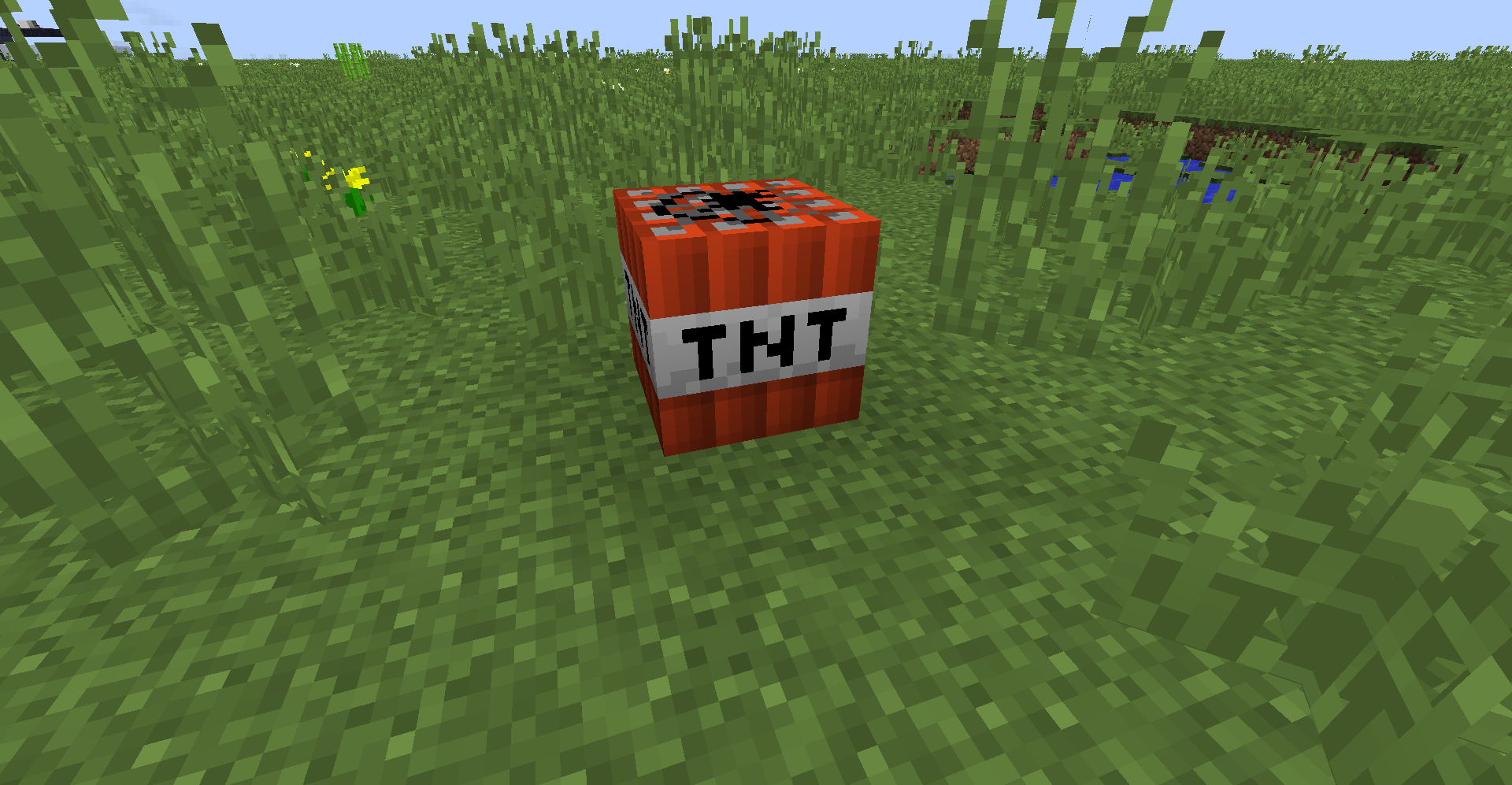 A block of TNT